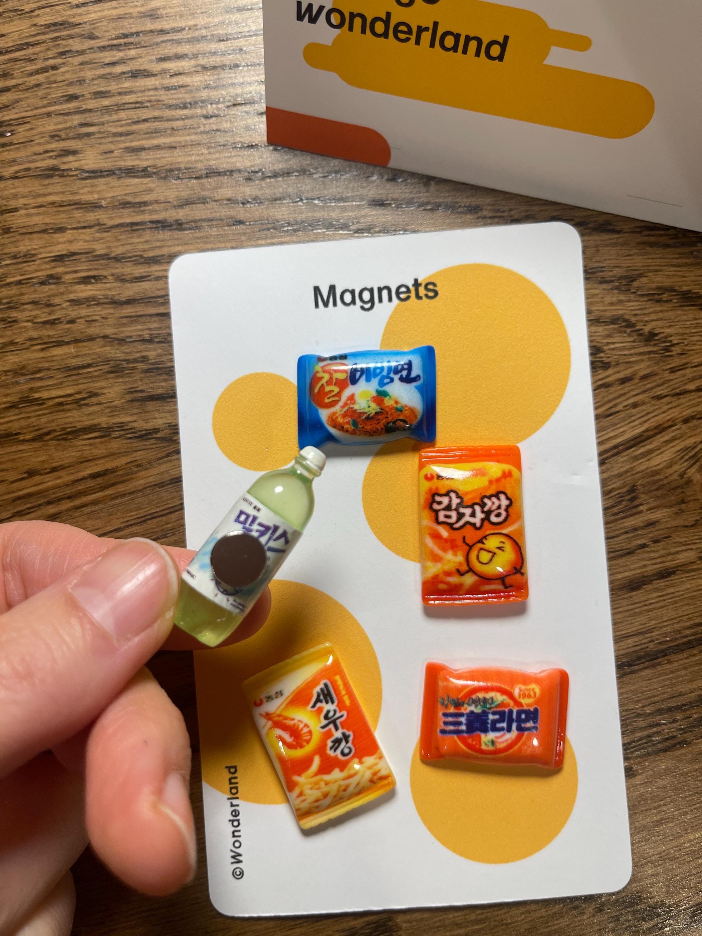Korean Food 3D Miniature Fridge Magnets: K-Food Ramen and Snacks, Set of 5