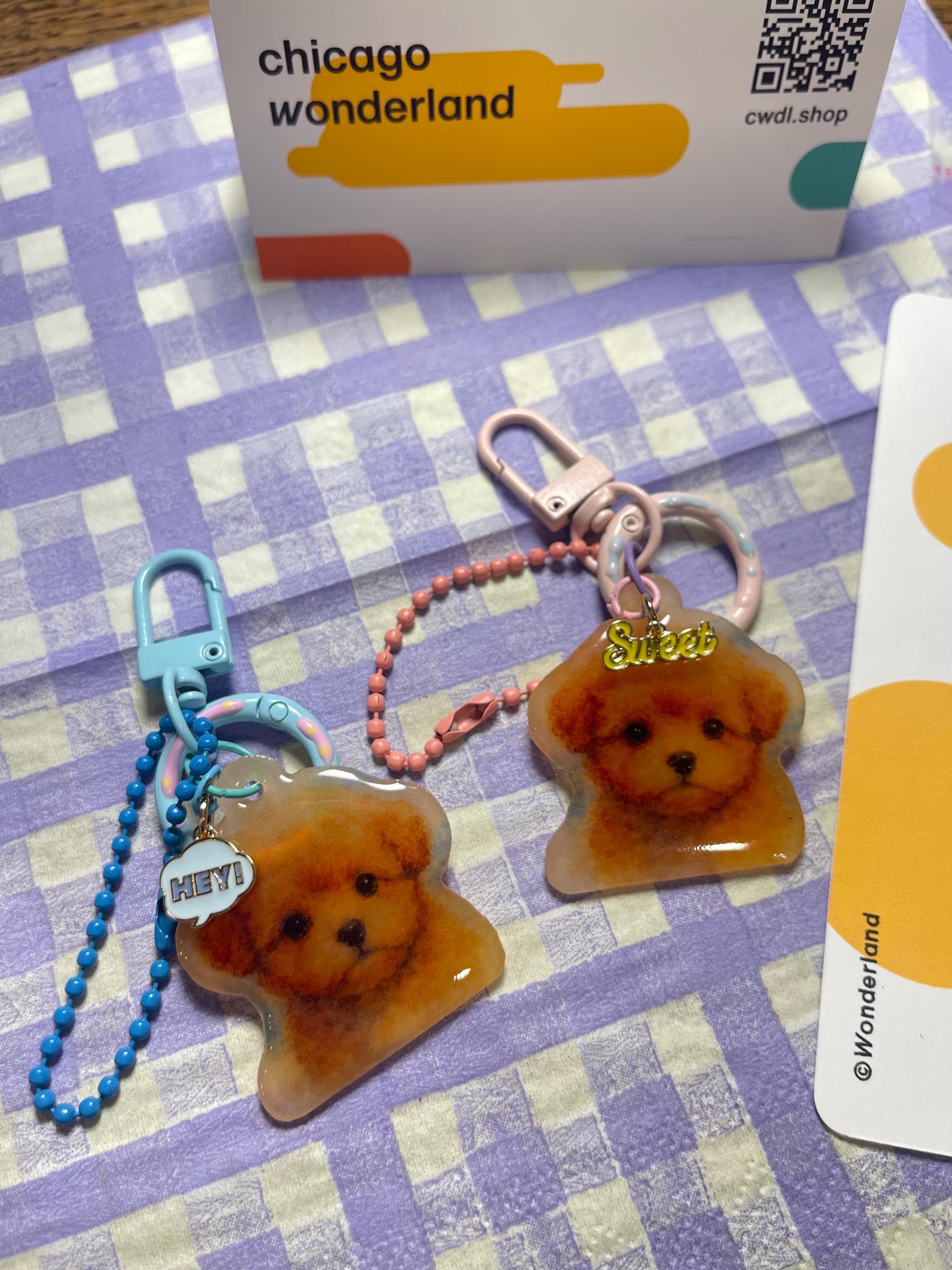 Adorable pet puffy dog acrylic Key chain Key ring / Bag charms Pink or Blue